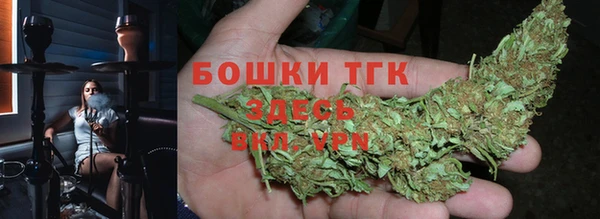 экстази Ельня