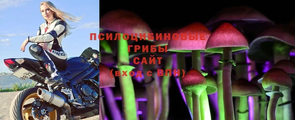 первитин Елабуга