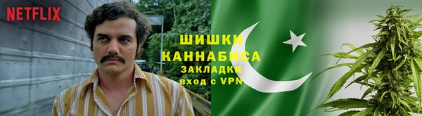 эйфоретик Елизово