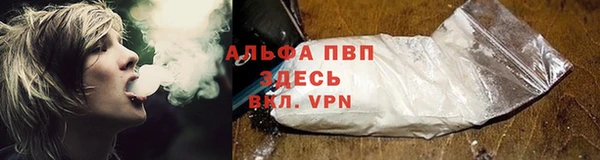 эйфоретик Елизово