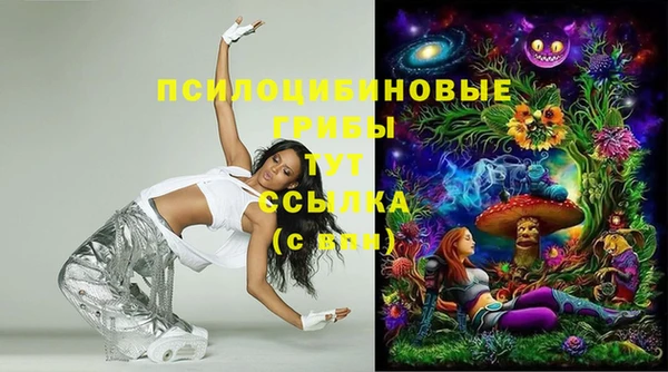экстази Ельня