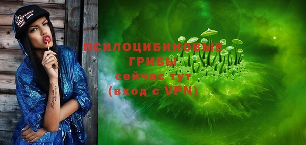 эйфоретик Елизово