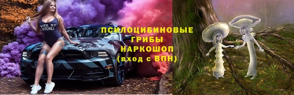 экстази Ельня